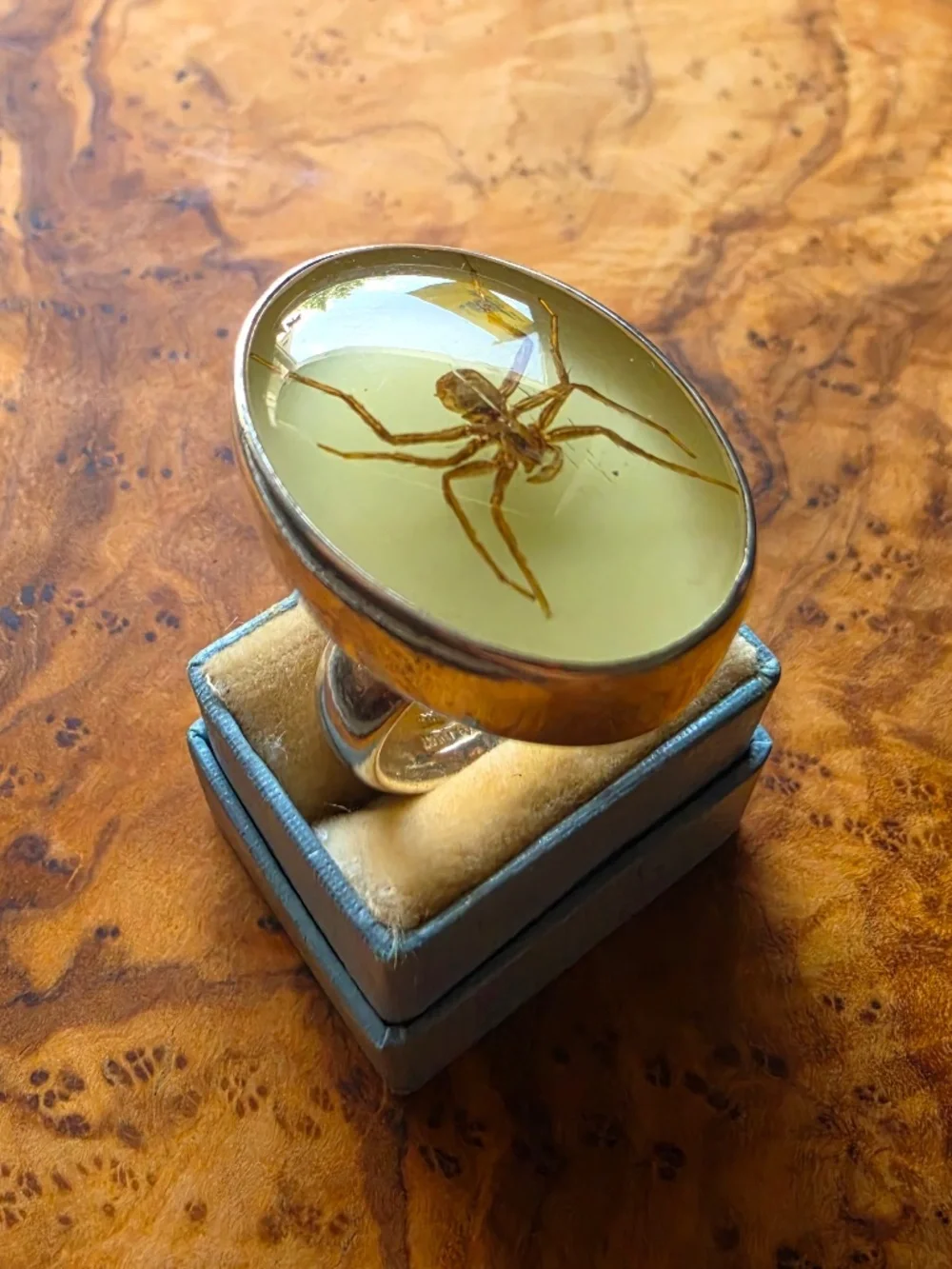 Fine Silver & Brown Recluse Spider Ring (Glows in the Dark!)